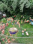 IMG_20230726_135006