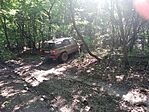 IMG_20230715_104958_428