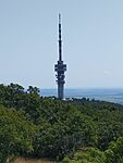A TV-torony a Kis-tubesről