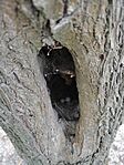 IMG_20230701_144227