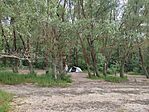 IMG_20230701_144743