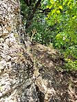 IMG_20230724_121651