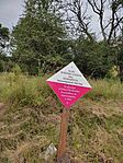 IMG_20230728_112958