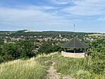 IMG_2397