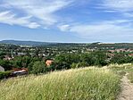 IMG_2395