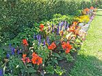 IMG_20230709_111315