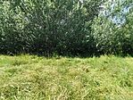 IMG_20230625_123907