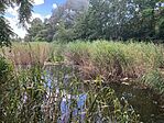 IMG_9760