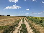IMG_9912