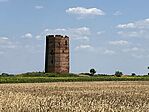 IMG_9914