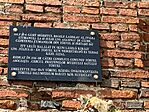IMG_9919