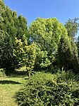 IMG_9930