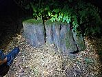 IMG_20230729_224334