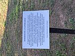 IMG_20230728_174254