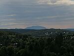 IMG_20230727_171459.jpg