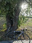 IMG_20230712_175848