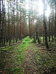 IMG_20230723_064514