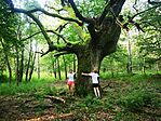 IMG_20230723_065250