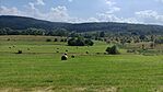 IMG_20230705_151018
