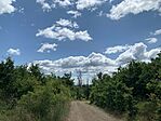 IMG_6768