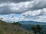IMG_6786