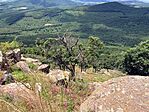 IMG_6800