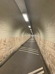IMG_6962
