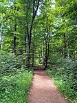 IMG_6582