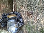IMG_20230710_125209.jpg