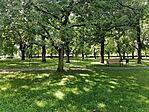 IMG_20230717_150546