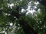 IMG_20230724_184745