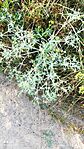 IMG_20230722_083046