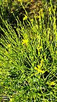 IMG_20230722_084528