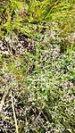 IMG_20230722_085645