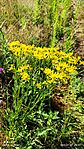 IMG_20230722_085722