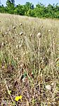 IMG_20230722_085803
