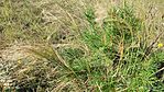 IMG_20230722_090542
