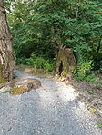 20230701_181807[1]