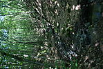 DSC03619