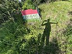 IMG_0980