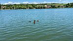 IMG_7997