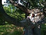 IMG_20230707_170948490_MFNR