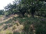 IMG_20230707_171153839_MFNR