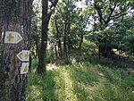IMG_20230707_171435791_MFNR