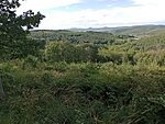 IMG_20230729_174131741_MFNR