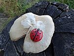 IMG_20230729_174624506_MFNR
