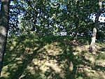 IMG_20230729_175312970_MFNR