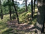 IMG_20230729_175350516_MFNR