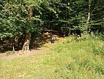 IMG_20230729_180147297_MFNR