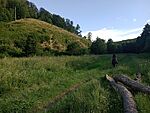 IMG_20230729_180414823_MFNR